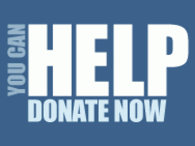 donate now banner